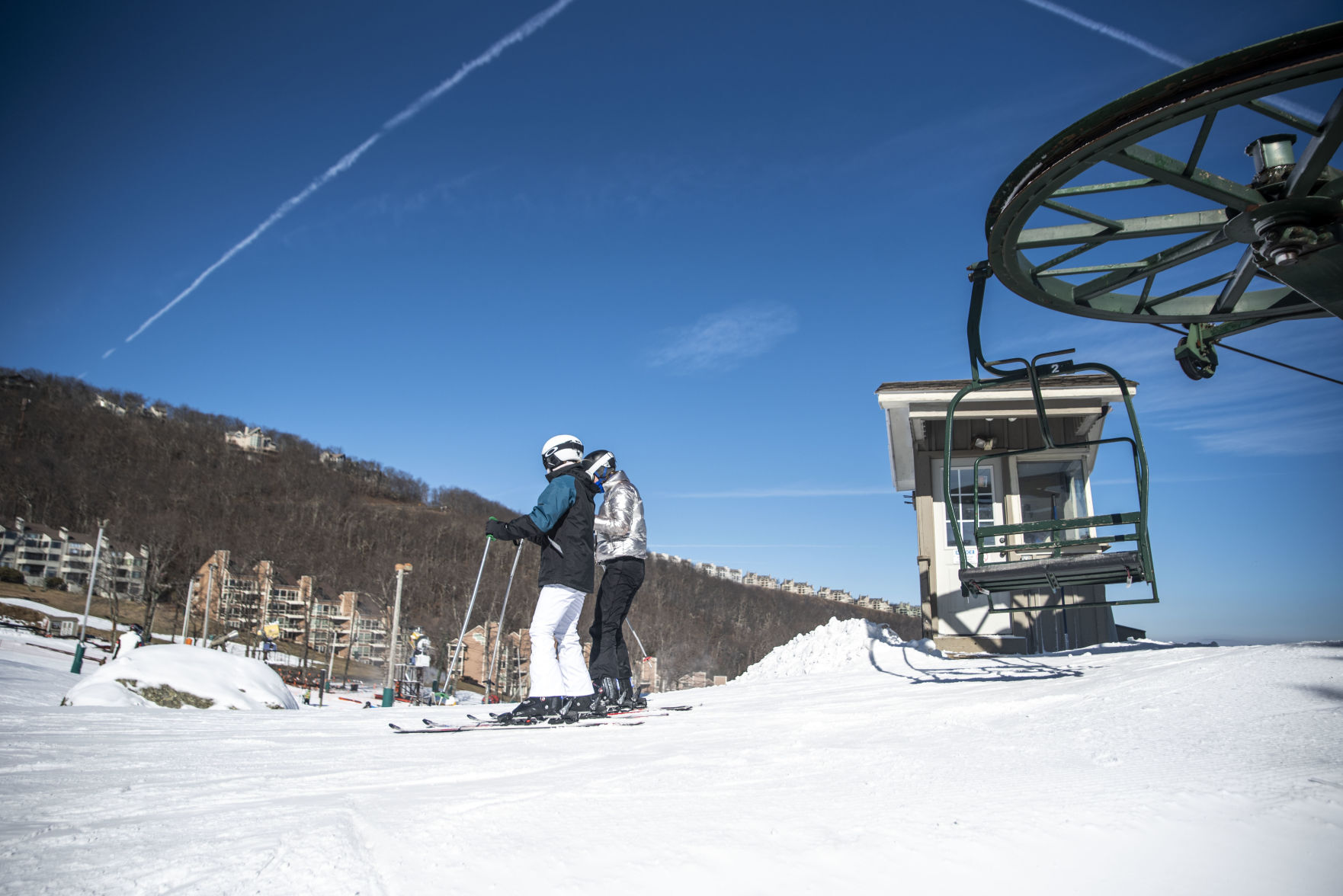 Wintergreen